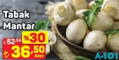 TABAK MANTAR ADET indirimli fiyat TABAK MANTAR ADET fiyat ve kampanya bilgisi